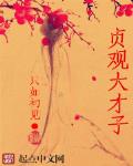 贞观大才子